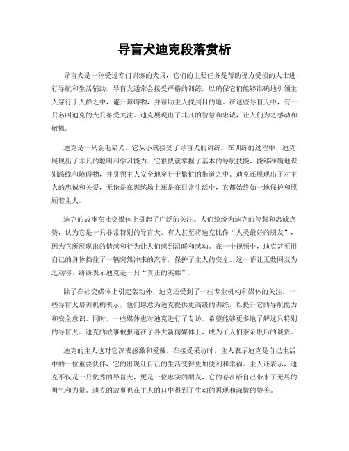 导盲犬迪克段落赏析