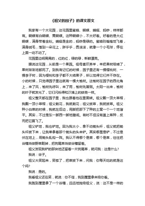 《祖父的园子》的课文原文