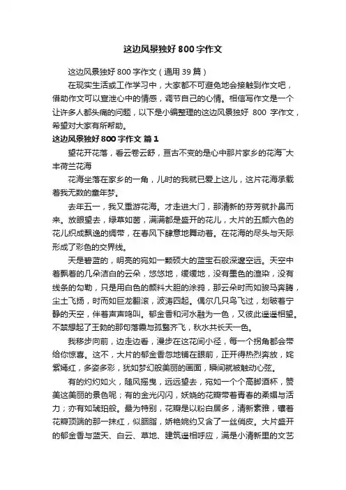 这边风景独好800字作文（通用39篇）
