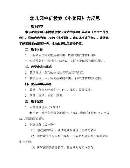 幼儿园中班教案《小菜园》含反思