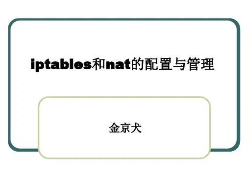 iptables和nat的配置与管理
