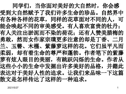 紫藤萝瀑布(公开课特等奖)【优质PPT】