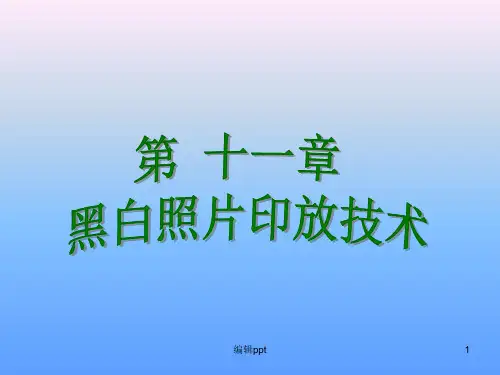 《黑白照片印放》PPT课件