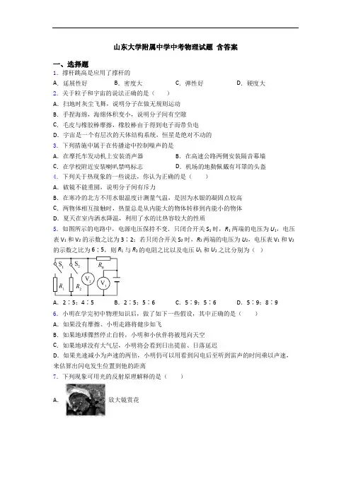 山东大学附属中学中考物理试题 含答案