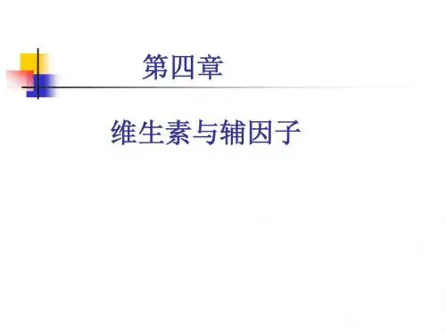 第4章 维生素