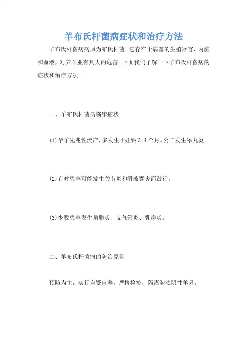 羊布氏杆菌病症状和治疗方法
