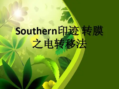 southern印迹转膜之电转移法