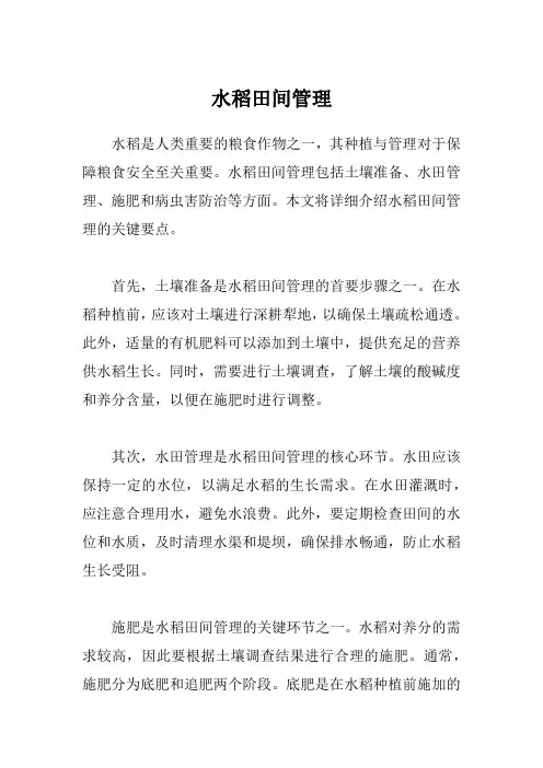 水稻田间管理