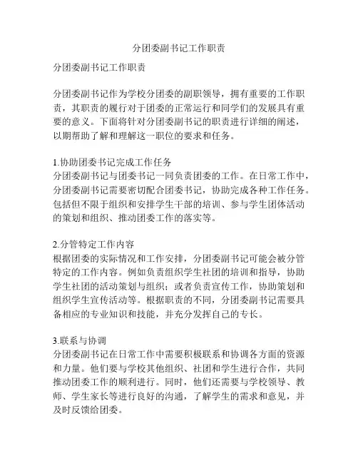 分团委副书记工作职责