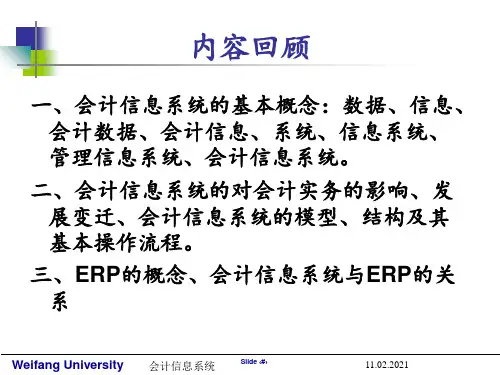 [财务管理]会计信息系统开发PPT课件