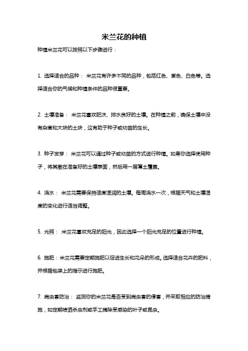 米兰花的种植