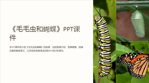 《毛毛虫和蝴蝶》课件