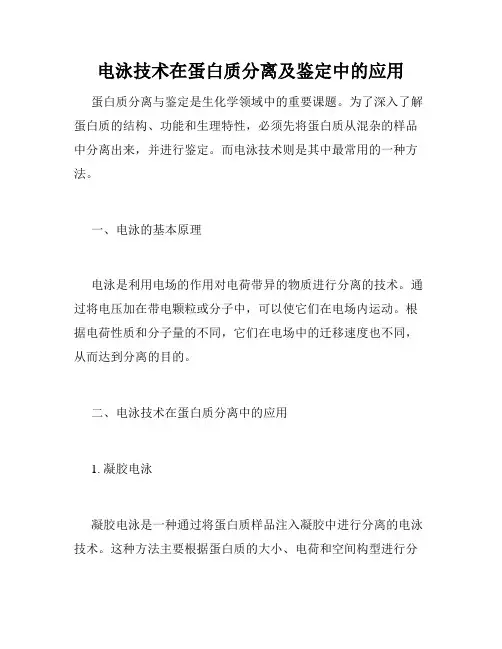 电泳技术在蛋白质分离及鉴定中的应用