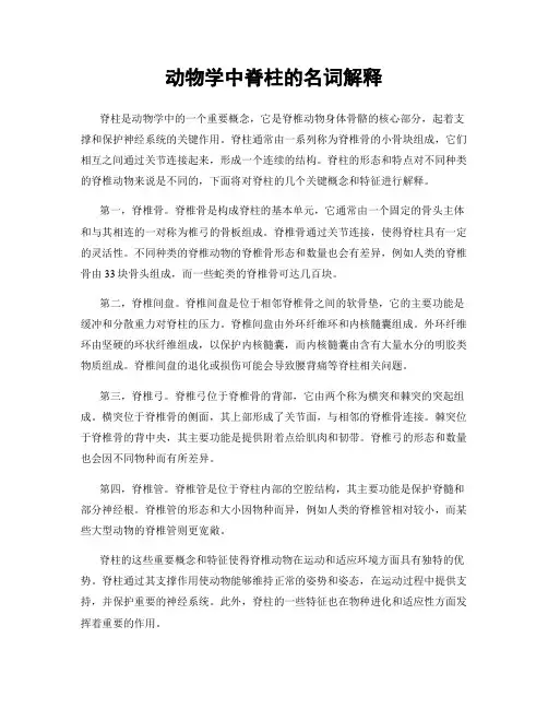 动物学中脊柱的名词解释