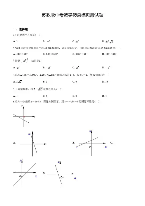 苏教版中考冲刺模拟考试《数学卷》含答案解析