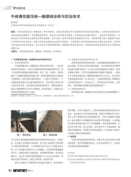 牛病毒性腹泻病-黏膜病诊断与防治技术