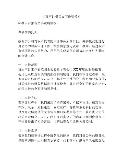 标准审计报告文字说明模板