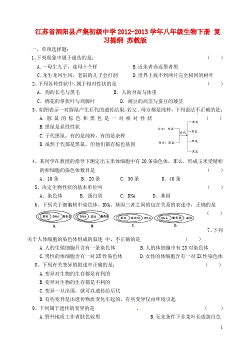 年八年级生物下册 复习提纲 苏教版