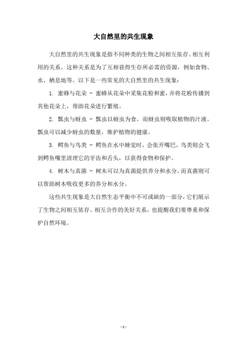 大自然里的共生现象