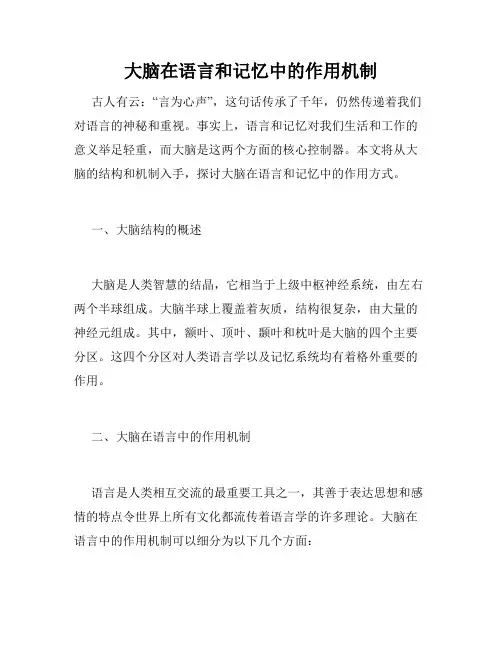 大脑在语言和记忆中的作用机制