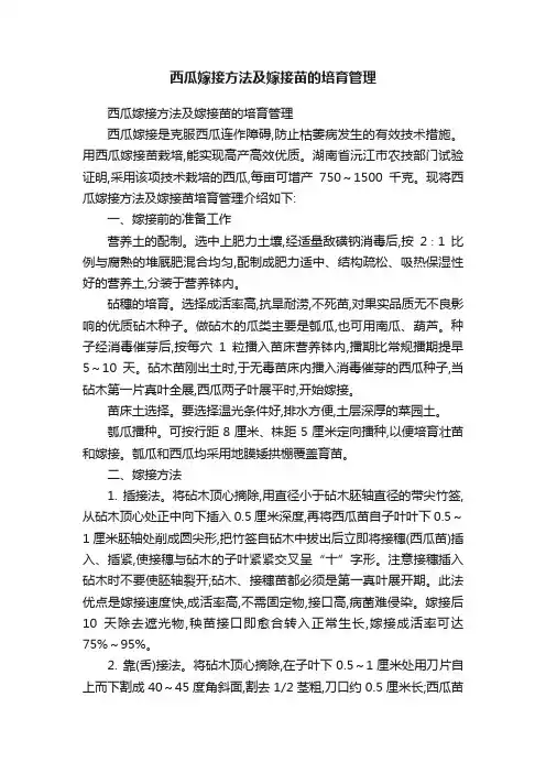 西瓜嫁接方法及嫁接苗的培育管理