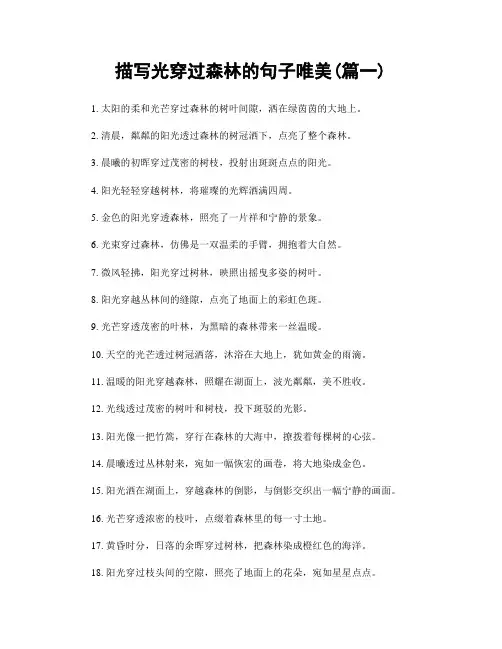 描写光穿过森林的句子唯美(精选2篇)