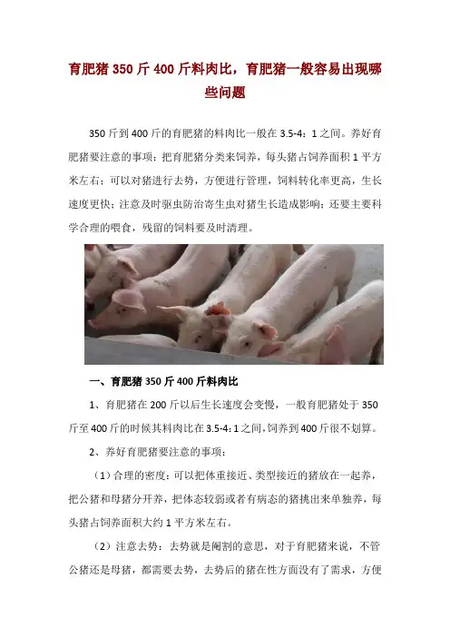 育肥猪350斤400斤料肉比,育肥猪一般容易出现哪些问题