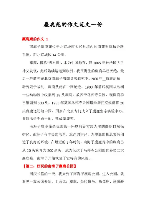 麋鹿苑的作文范文一份
