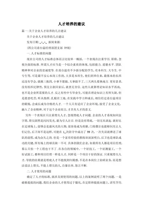 人才培养的建议