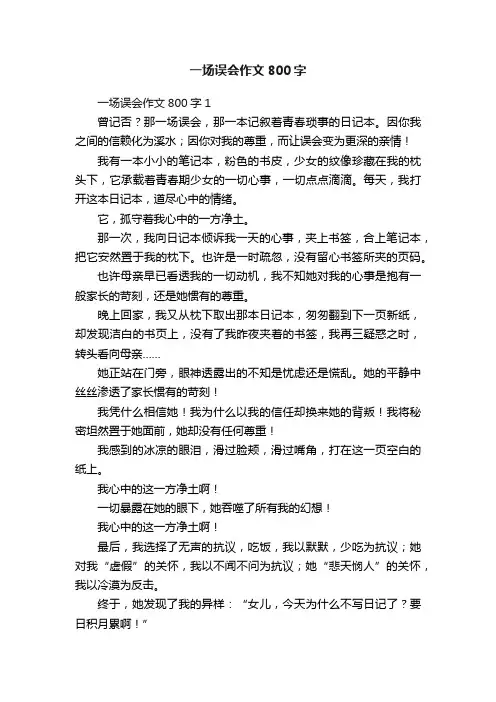 一场误会作文800字