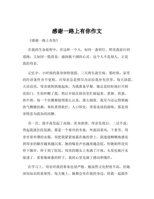 感谢一路上有你作文