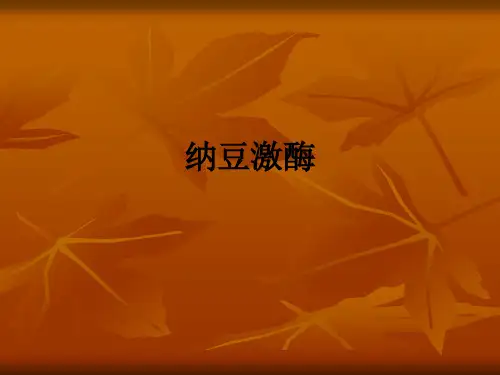 纳豆激酶ppt课件