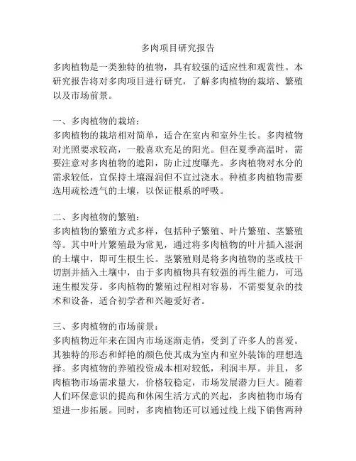 多肉项目研究报告