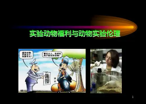 五实验动物福利和伦理学要求PPT课件