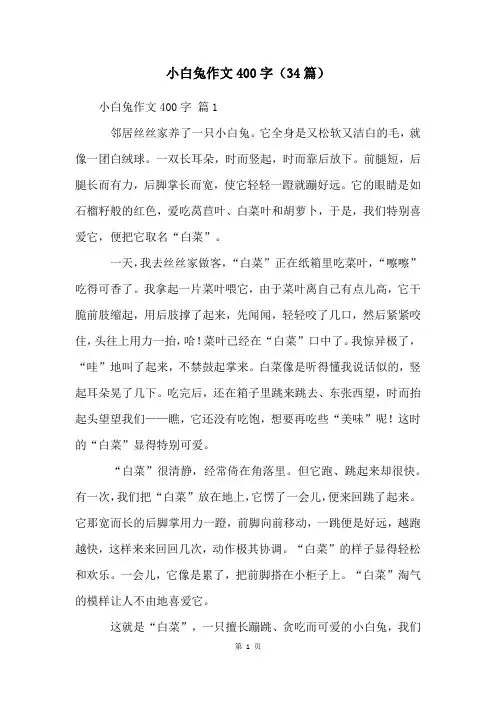 小白兔作文400字(34篇)