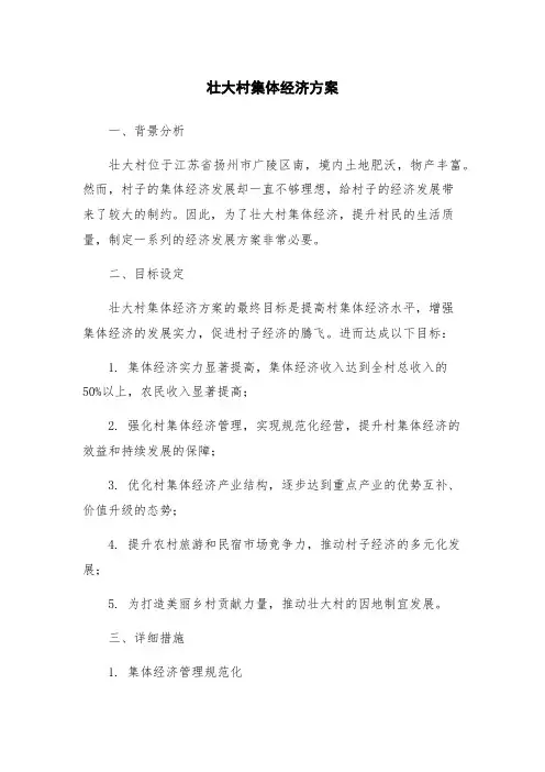 壮大村集体经济方案