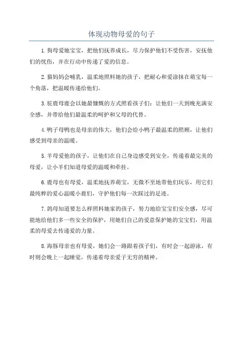 体现动物母爱的句子