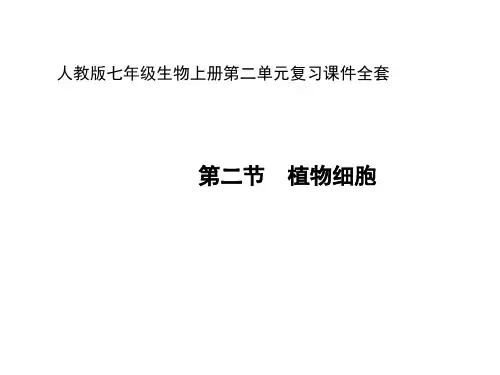 人教版七年级生物上册第二单元复习课件全套