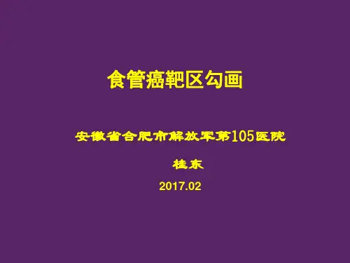 食管癌靶区勾画 桂东