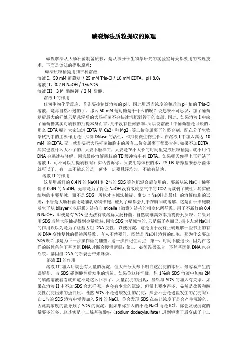 碱裂解法提取质粒