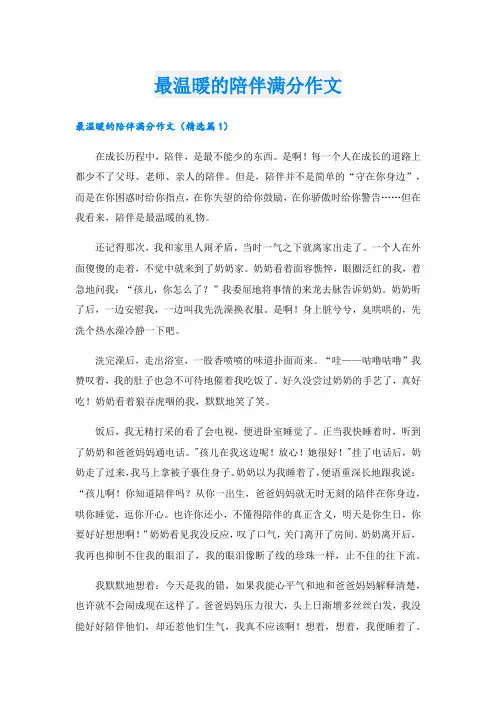 最温暖的陪伴满分作文.doc