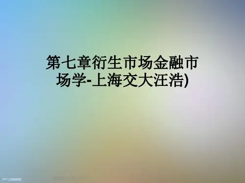 第七章衍生市场金融市场学-上海交大汪浩)