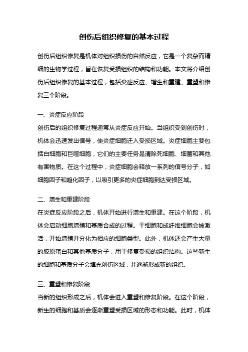 创伤后组织修复的基本过程