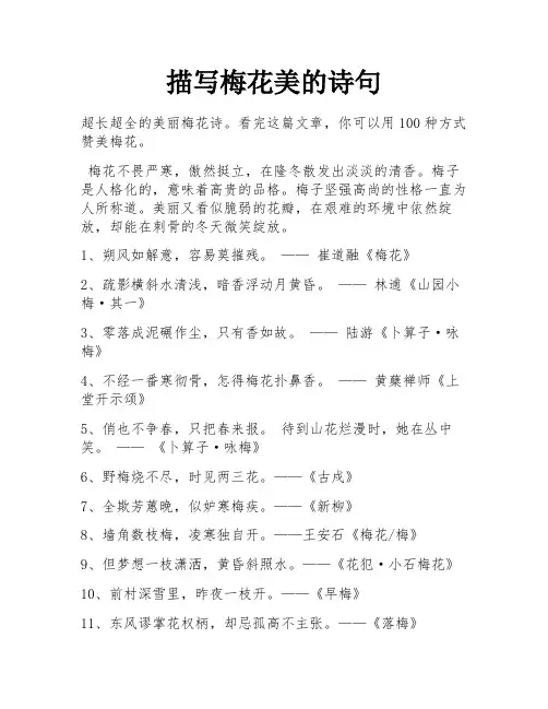 描写梅花美的诗句