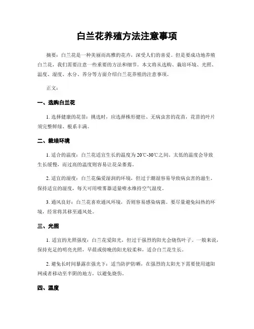 白兰花养殖方法注意事项