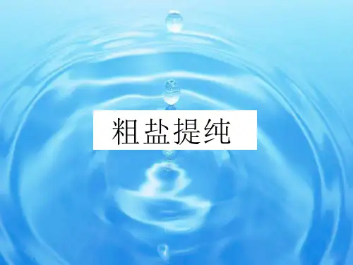 化学高一上册-2.1 粗盐提纯 课件