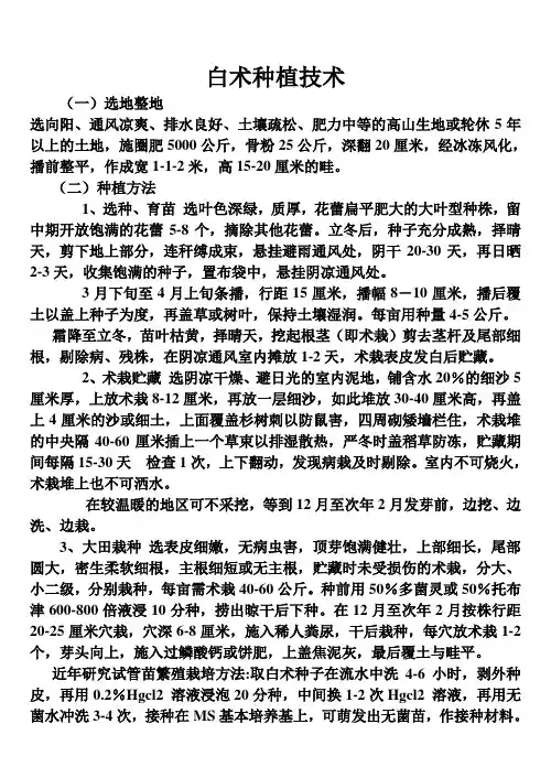 白术种植技术