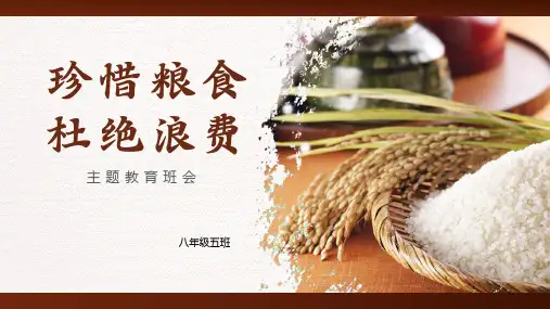 珍惜粮食杜绝浪费主题班会课件