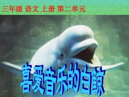 喜爱音乐的白鲸