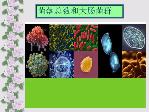 菌落总数和大肠菌群